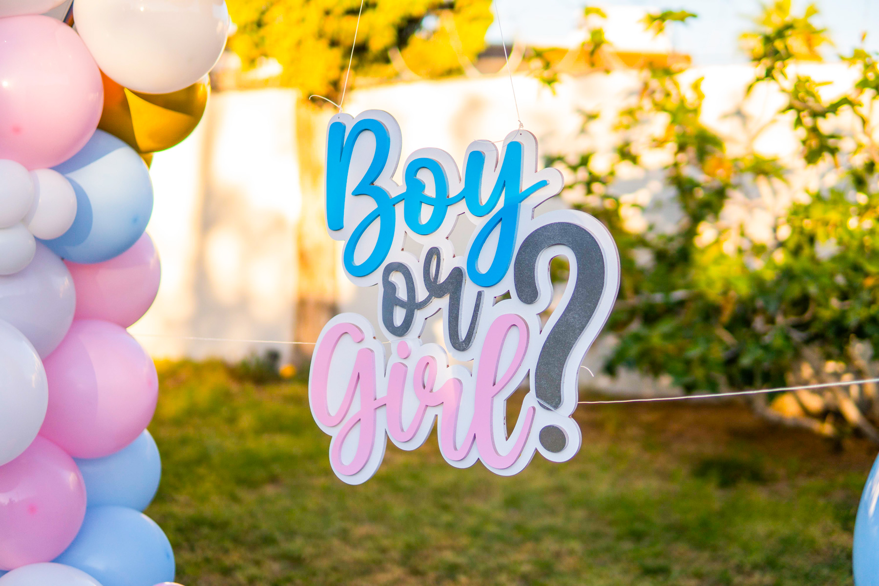Gender Reveal 19